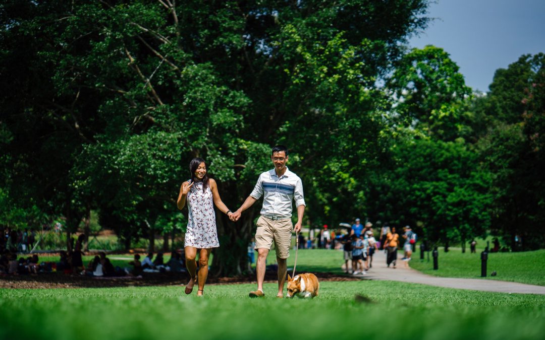 Dublin Places – Dougherty Hills Dog Park