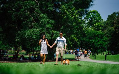 Dublin Places – Dougherty Hills Dog Park